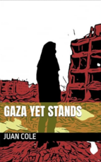 Gaza Yet Stands:  Juan Cole’s New E-Book